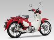 画像4: ヨシムラ Super Cub C125 マフラー フルエキゾーストマフラー 機械曲 GP-MAGNUMサイクロン EXPORT SPEC 政府認証 (4)