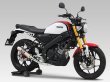 画像1: ヨシムラ XSR155 マフラー フルエキゾーストマフラー 機械曲 GP-MAGNUMサイクロン EXPORT SPEC 政府認証 (1)