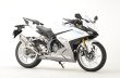 画像6: アールズギア(r's gear)  CBR250RR マフラー スリップオンマフラー GPスペック スリップオン TypeS マフラー (6)